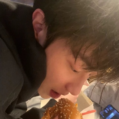 Furry绘画光影灵感福瑞群